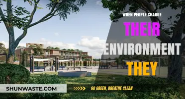 Transforming Spaces: How Changing Your Environment Changes You