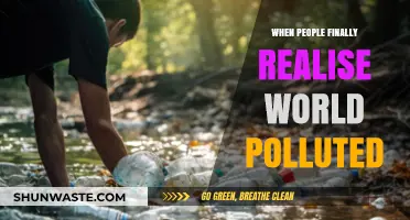 The World is Polluted: What Now?