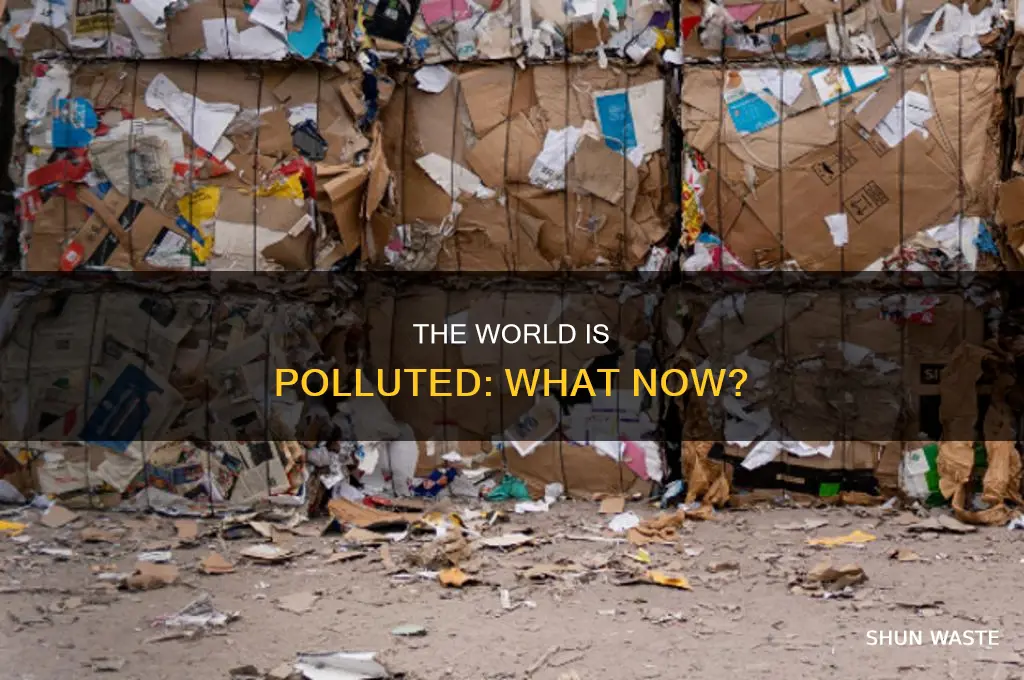 when people finally realise world polluted