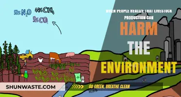 Livestock's Environmental Impact: A Growing Awareness of Sustainable Choices
