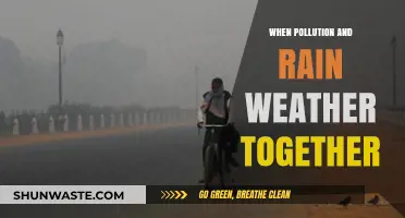 Pollution and Rain: A Toxic Mix