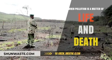 The Lethal Impact of Pollution on Our Lives