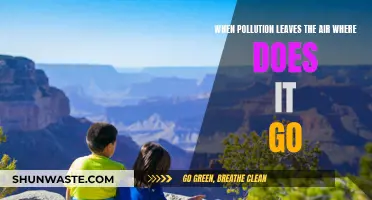 The Mystery of Pollution: Where Does It Go?