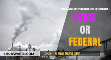 Who's Responsible for Environmental Pollution?
