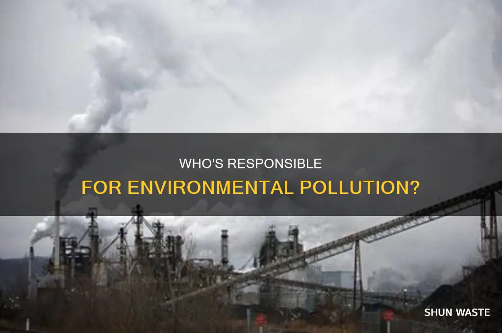 when someone polluting the environment state or federal