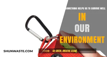 Adapting to Thrive: How Environmental Tools Enhance Our Survival