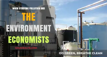 Economists' Role in Environmental Pollution Solutions