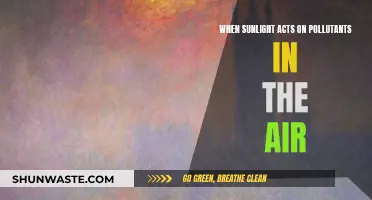 Sunlight's Effect on Air Pollutants