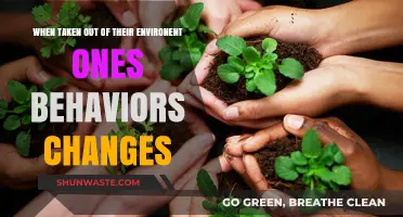 Behavioral Shifts: How New Environments Reshape Our Actions and Reactions