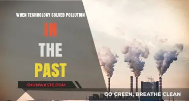 Technology's Triumph Over Pollution: Past Successes