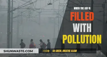 Breathing Battle: Pollution-Filled Air and Our Health