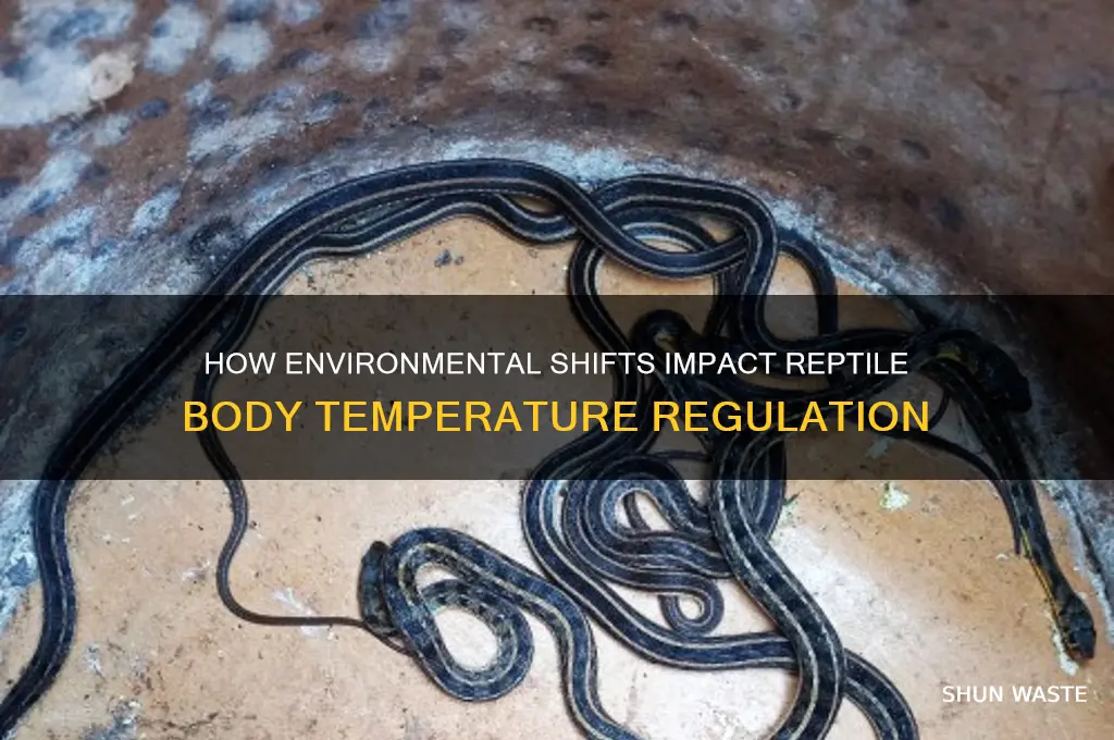when the environment changes a reptile temperature