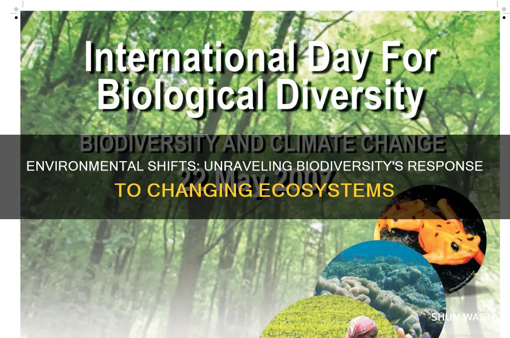 when the environment chnages how does it affect biodiverity