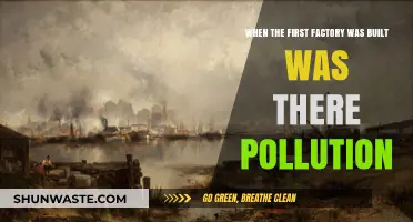 The Industrial Revolution: Pollution's Genesis?