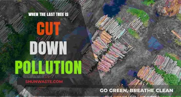 The Last Tree: A Warning for Our Future