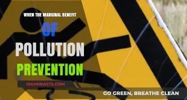 Pollution Prevention: When Marginal Benefits Outweigh Costs