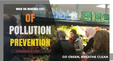 Pollution Prevention: Marginal Cost Benefits