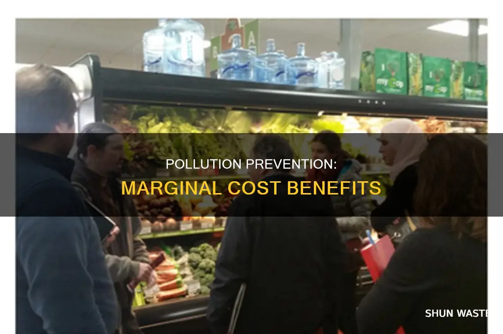 when the marginal cost of pollution prevention
