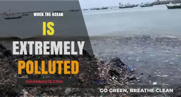 Ocean Pollution Crisis: An Urgent Wake-Up Call