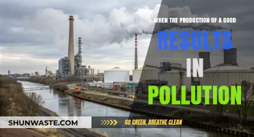 The Dark Side of Production: Pollution's Price