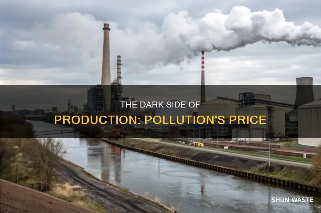 when the production of a good results in pollution