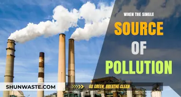 Understanding Pollution: A Single Source, Multiple Problems