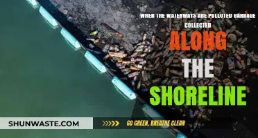 Waterways Pollution: Cleaning Shoreline Garbage