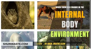 Adapting to Internal Shifts: Understanding Body Environment Changes