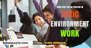 Staying Positive in Toxic Workplaces: Strategies for Survival and Resilience