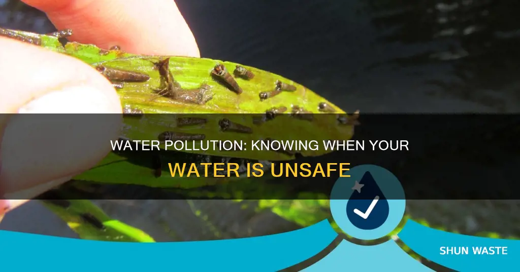when to know if water polluted
