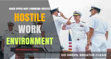 Toxic Leadership: How Upper Navy Command Fosters Hostile Work Environments