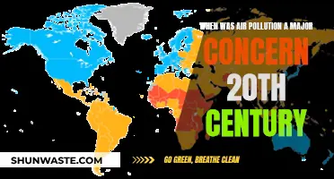 Air Pollution: A 20th-Century Concern