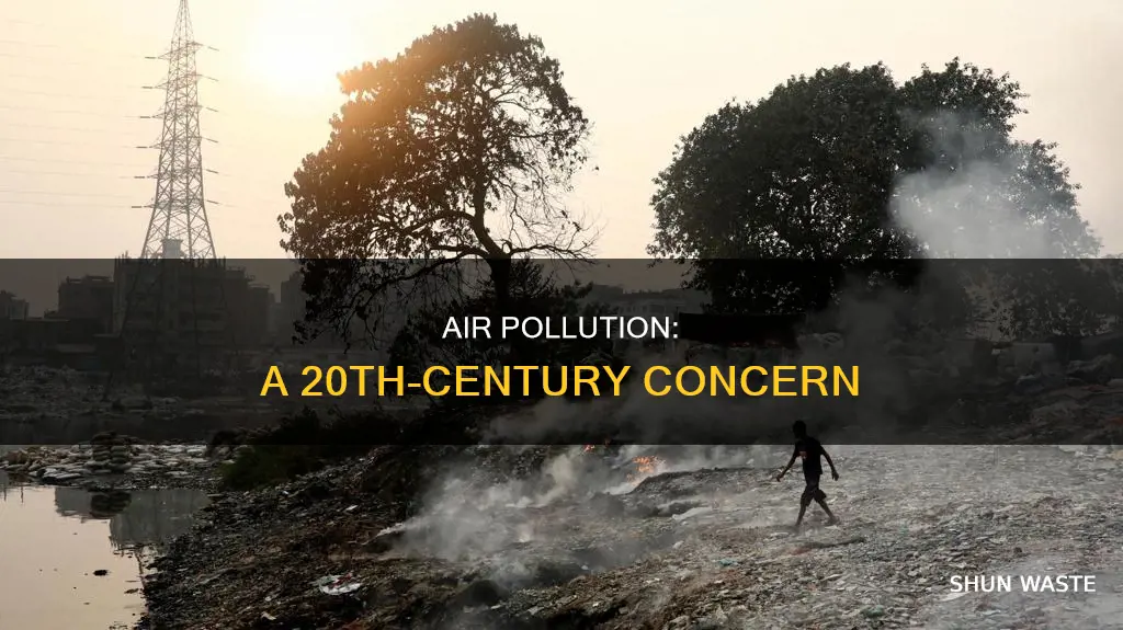 when was air pollution a major concern 20th century
