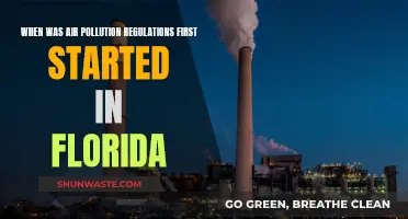 Florida's First Steps Towards Clean Air
