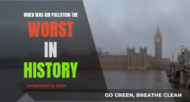 The Dark Days of Air Pollution History