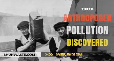 The Dark History of Anthropogenic Pollution: When Was It Discovered?