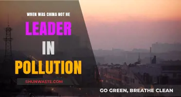China's Pollution: From Leader to Laggard?