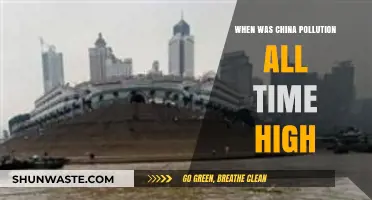 China's Pollution Crisis: The Worst Years