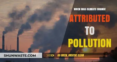 Climate Change: Pollution's Legacy and Our Future