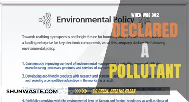The History of CO2: Pollutant Declaration