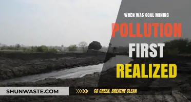 Coal Mining's Dark History: Pollution Realization