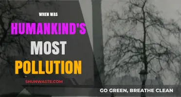 The Dirtiest Decade: Pollution's Peak