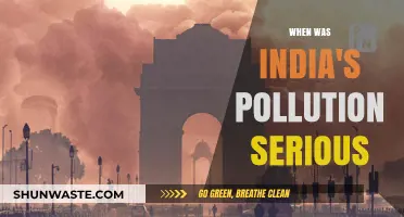 India's Pollution Crisis: A Historical Perspective