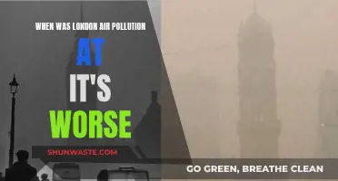 London's Dark Days: Air Pollution's Deadly History