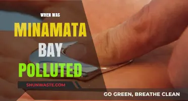 Minamata Bay Pollution: A Historical Environmental Disaster