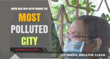 Delhi's Pollution Crisis: Ranked Most Polluted City