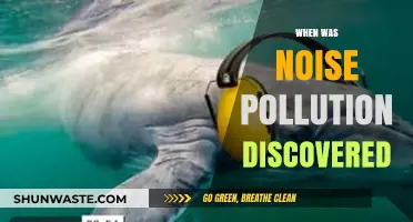 The History of Noise Pollution: When Was It First Recognized?