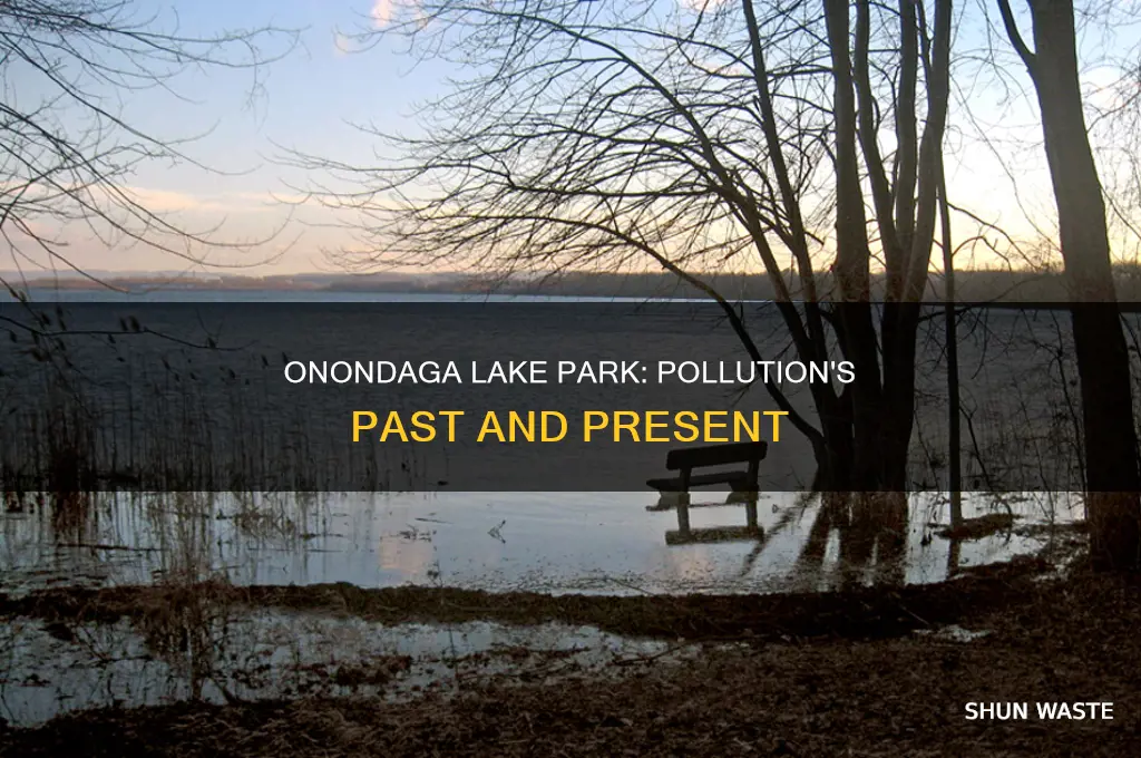 when was onondaga lake park pollute
