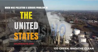 Industrial Pollution's Dark History in the United States