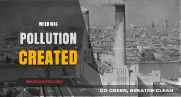 The Origin of Pollution: A Historical Perspective